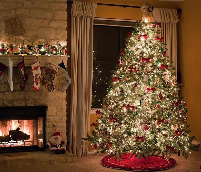Caring For Your Christmas Tree